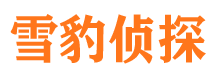 和田外遇出轨调查取证